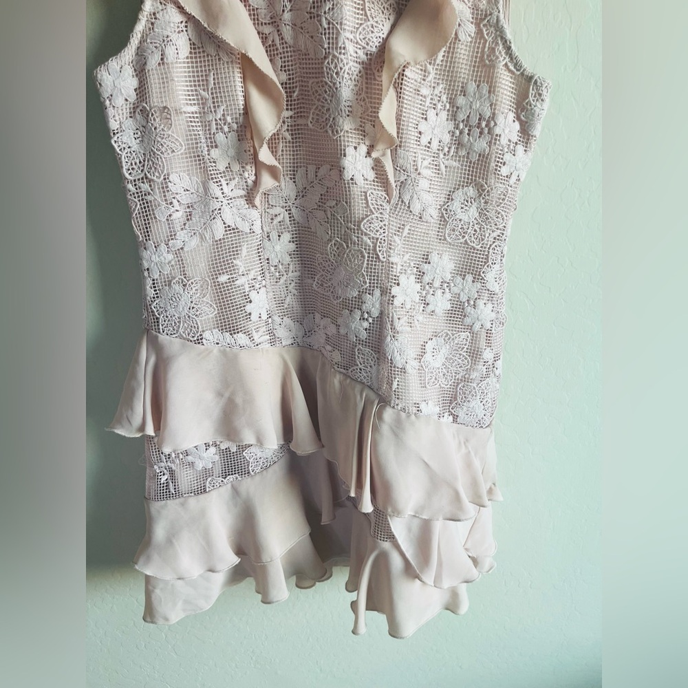 Parker Gabriel Lace Blush Ruffle Mini Dress Sz 10
Coquette Romantic Floral - Picture 6 of 8